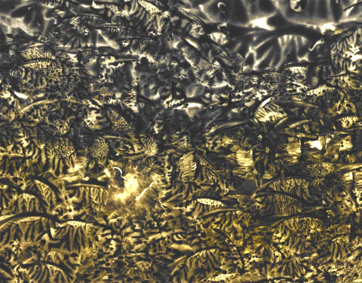 Eternal Masterpiece
Oil Painting By DAPACU
Multidimensional Art Style
ZOOM of Masterpiece 
